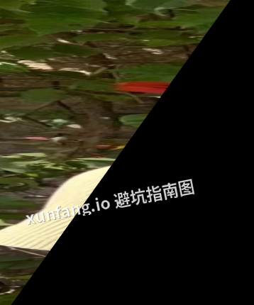 声音好听t，长沙伴游头像